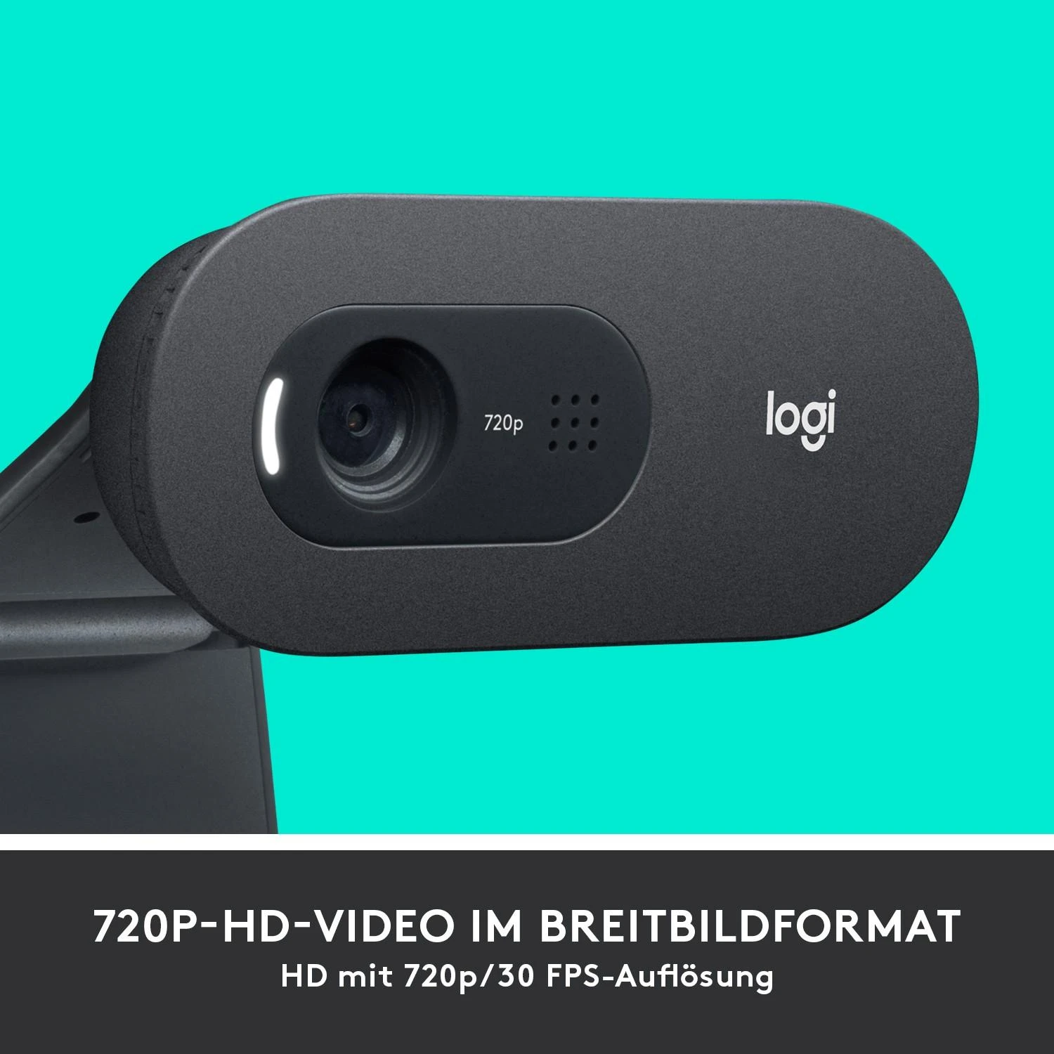 Internetinė kamera Logitech C505 HD webcam USB (960-001364)
