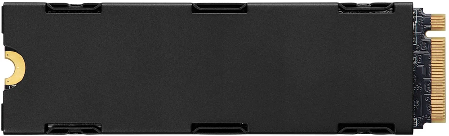 Corsair MP600 PRO LPX NVMe SSD su aušintuvu skirtas PC/PS5 2TB