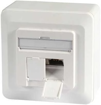 Efb Elektronik EFB EFB duomenų lizdas Cat6a 500MHz BALTA viršuje apačioje paviršinio montavimo 2xRJ45 RAL9010 EA klasė 10Gbit 40 laipsnių lizdas su 6,3 mm įžeminimo antgaliu