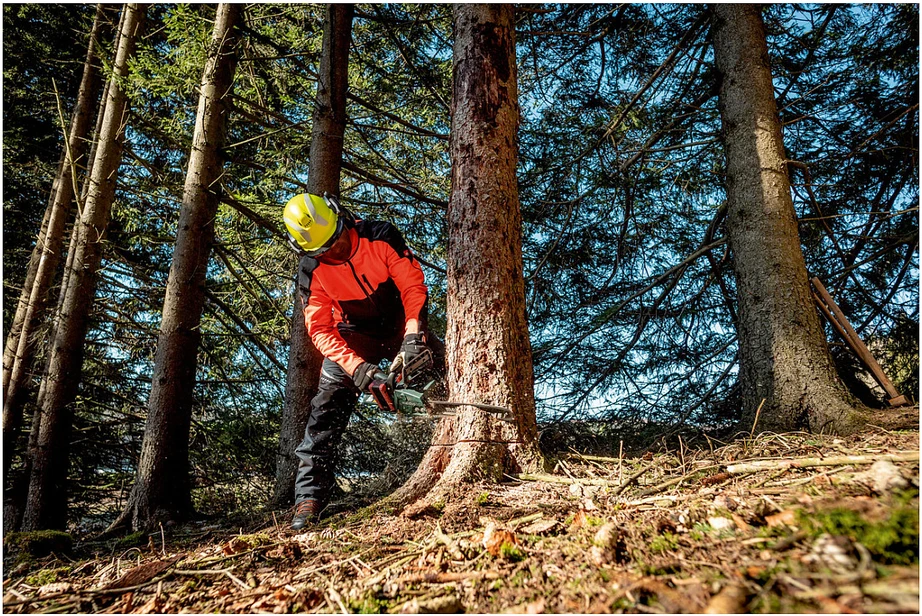 Grandininis pjūklas Akumuliatorinis pjūklas MS 36-18 LTX BL 40, korpusas, Metabo