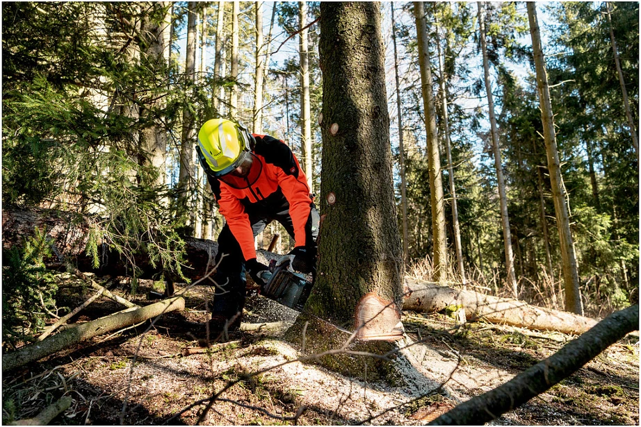 Grandininis pjūklas Akumuliatorinis pjūklas MS 36-18 LTX BL 40, korpusas, Metabo
