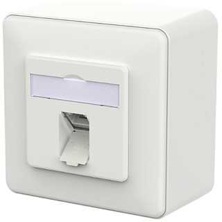 Schneider Electric METZ CONNECT Lizdas jungiama į tinklą E-DAT C6A LSA++ 1 Port AP balta (130E370027-I)