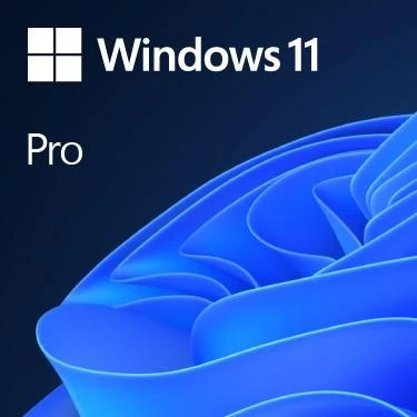 Operacinė sistema Microsoft Windows 11 Pro 64-bit English USB