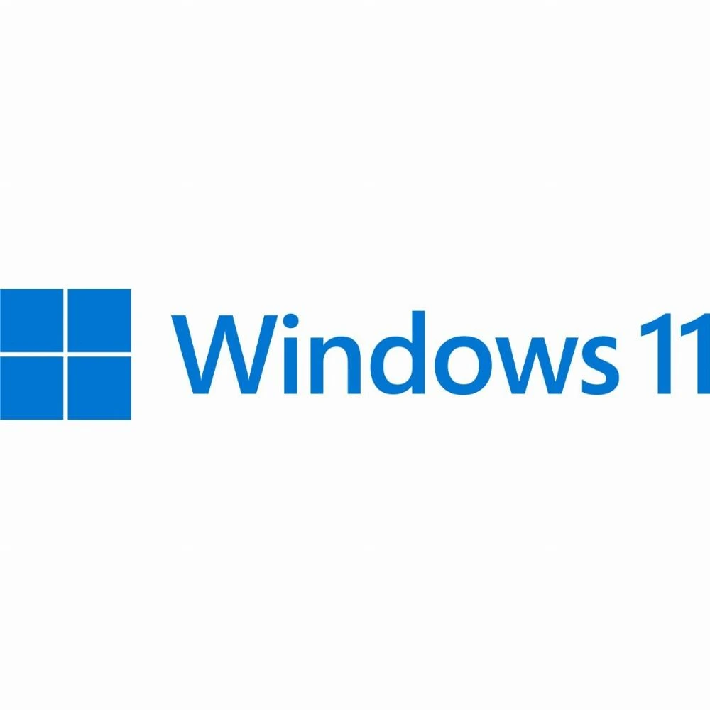 Operacinė sistema Microsoft Windows 11 Pro 64-bit English USB