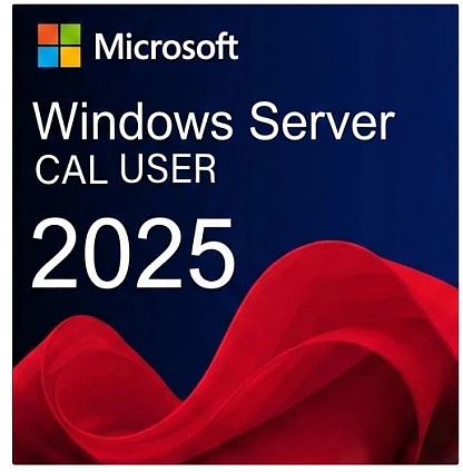 Fujitsu WINSVR CAL 2025 5 USER - CONFIG ONLY
