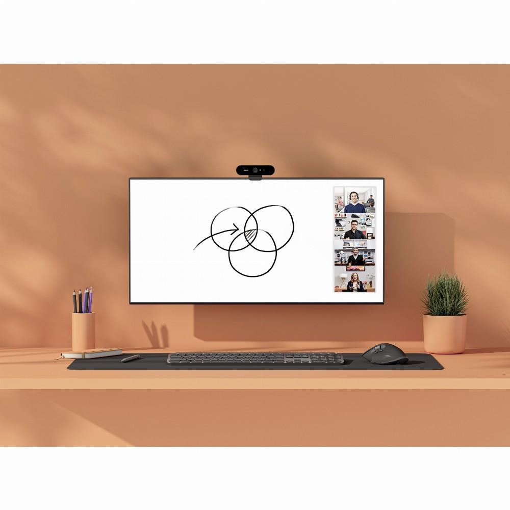 Internetinė kamera Logitech Scribe (960-001332)