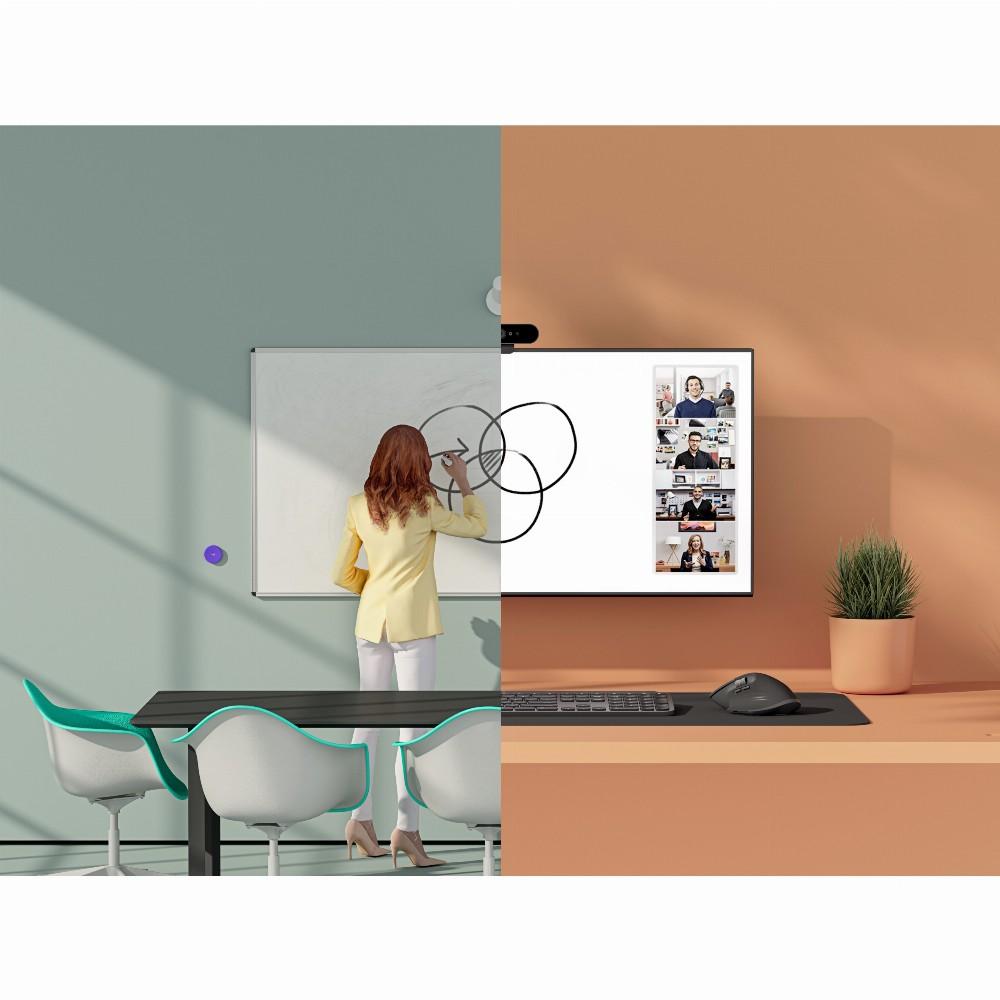 Internetinė kamera Logitech Scribe (960-001332)