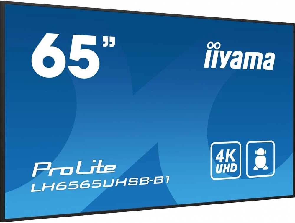 Monitorius iiyama ProLite LH6565UHSB-B1