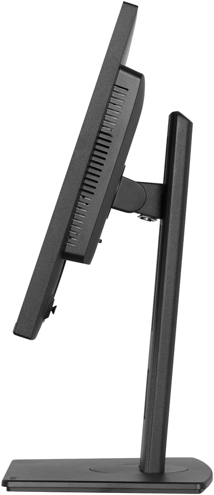 Monitorius iiyama ProLite XB2497HSNH-B1 (XB2497HSNH-B1)