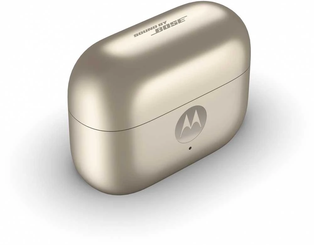 Ausinės MOTOROLA MOTO BUDS LOOP FRENCH OAK