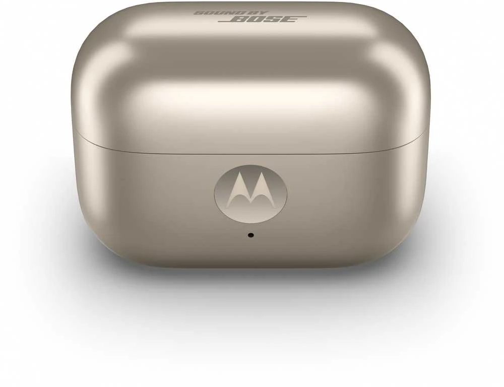 Ausinės MOTOROLA MOTO BUDS LOOP FRENCH OAK