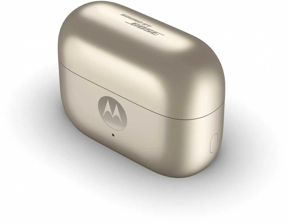 Ausinės MOTOROLA MOTO BUDS LOOP FRENCH OAK