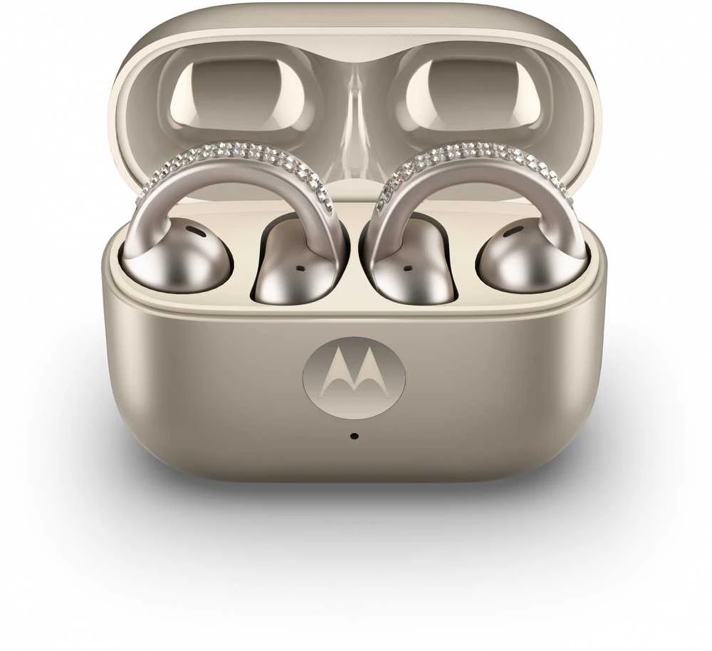 Ausinės MOTOROLA MOTO BUDS LOOP FRENCH OAK
