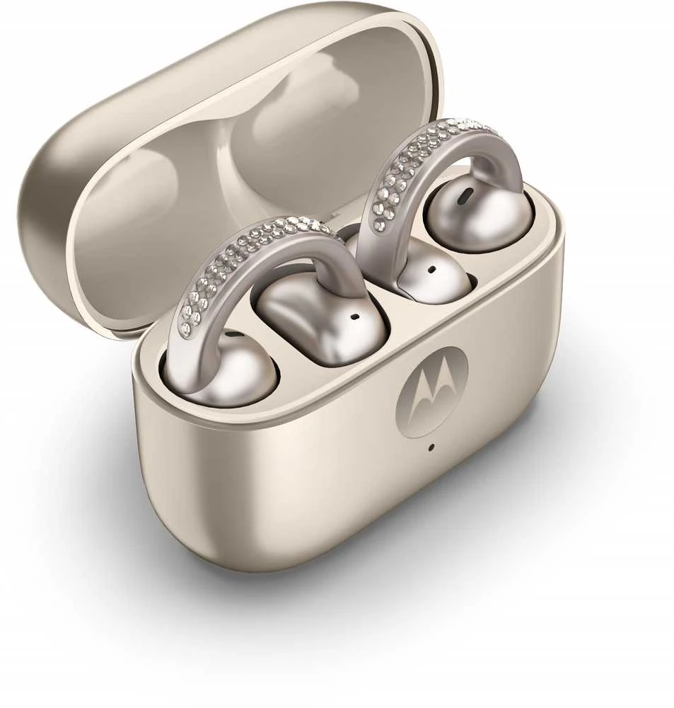 Ausinės MOTOROLA MOTO BUDS LOOP FRENCH OAK