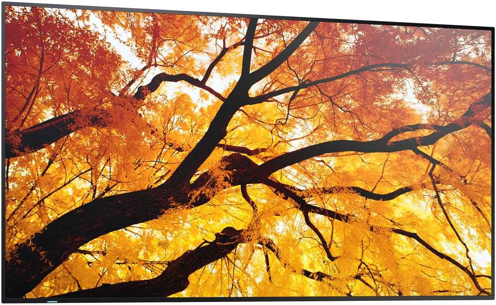Monitorius Sharp M502 50 colių LFD UHD 550CD/M2 D-L - FONINIS APŠVIETIMAS, 24/7 ĮSPĖJIMAS, SDM LIZDAS, CM