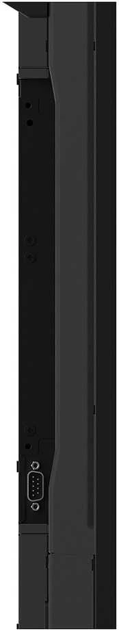 Monitorius Sharp P556 (60005916)