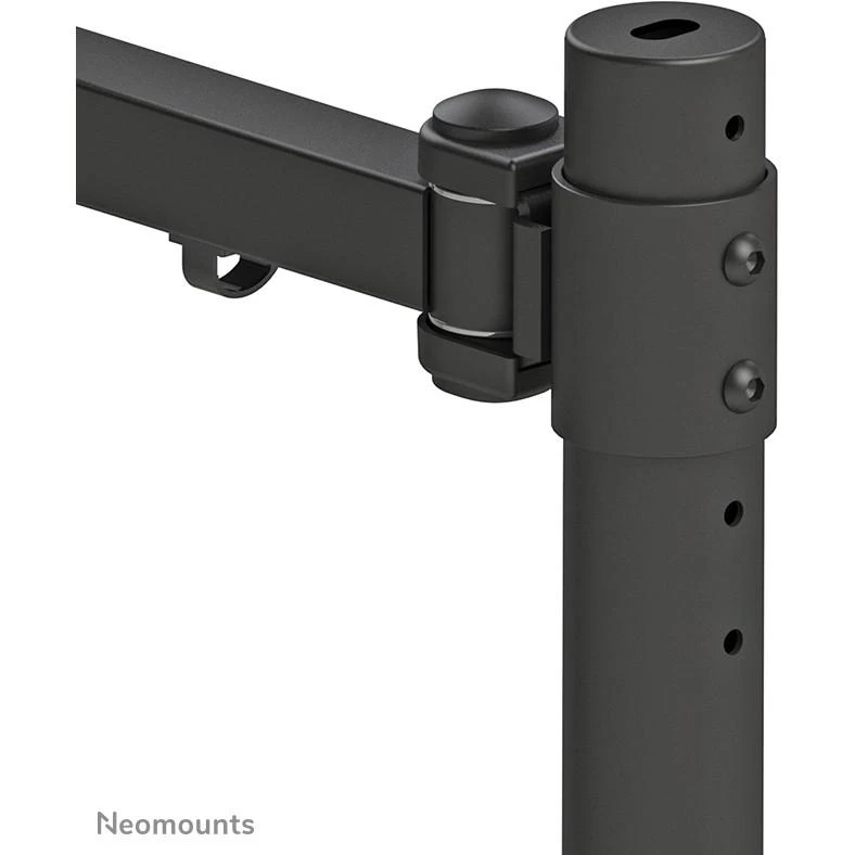Laikiklis Neomounts Newstar FPMA-D960PLUS 124,5 cm (49") Gnybtas Juoda