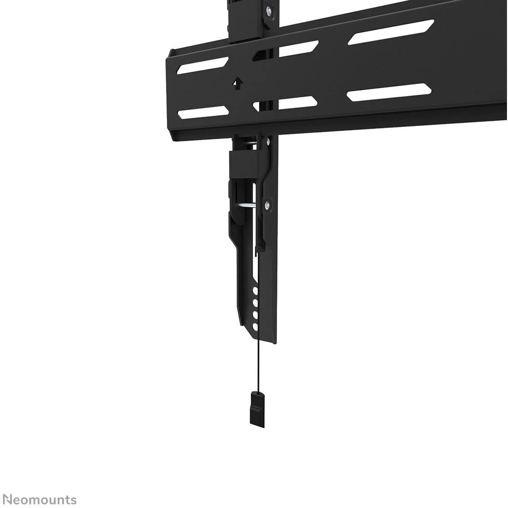 Laikiklis NEOMOUNTS SELECT SCREEN WALL MOUNT (FIXED, VESA 600X400)