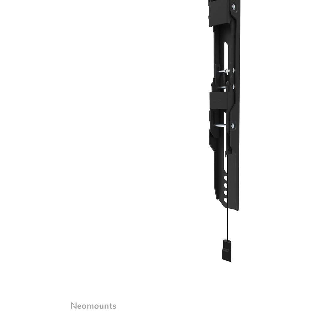 Laikiklis NEOMOUNTS SELECT SCREEN WALL MOUNT (FIXED, VESA 600X400)
