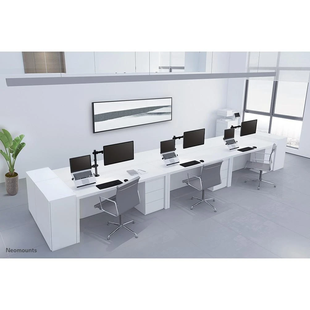 Laikiklis Newstar FPMA-D550NOTEBOOK monitoriams ir nešiojamiems kompiuteriams