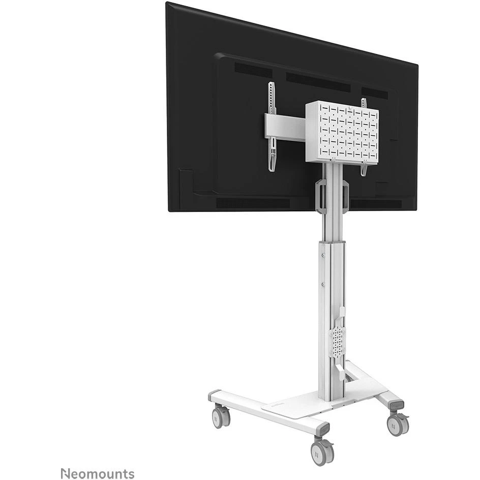 Laikiklis NEOMOUNTS BY NEWSTAR SELECT MOBILE DISPLAY FLOOR STAND (32-75") 10 CM. WHEELS Baltas