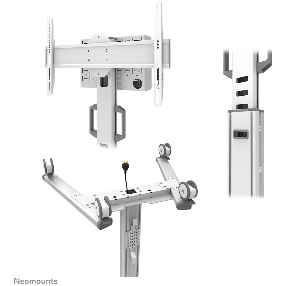 Laikiklis NEOMOUNTS BY NEWSTAR SELECT MOBILE DISPLAY FLOOR STAND (32-75") 10 CM. WHEELS Baltas