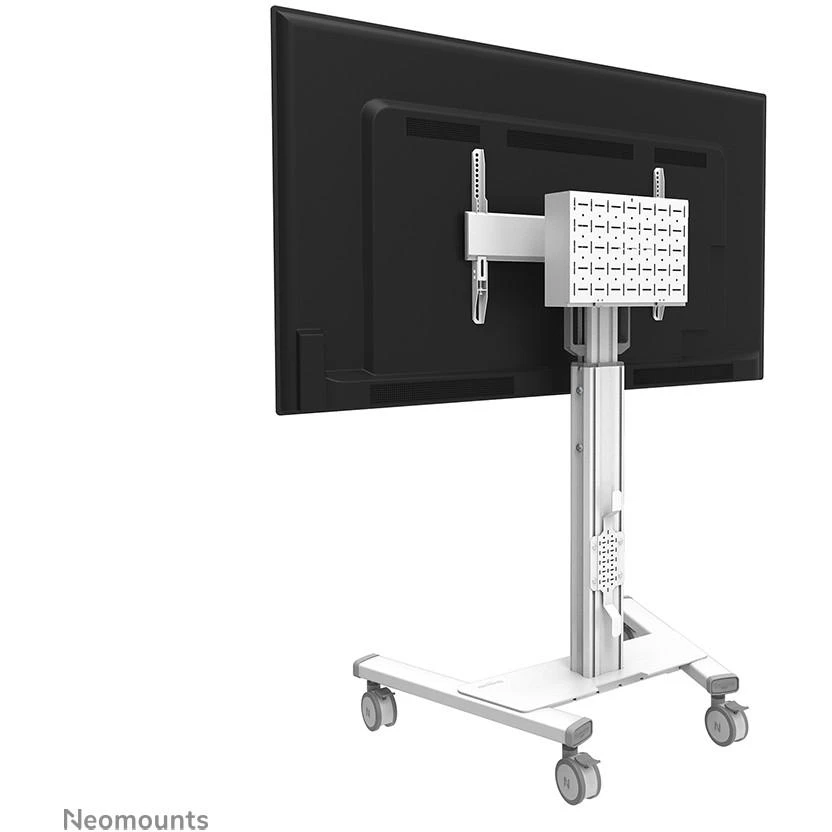 Laikiklis NEOMOUNTS BY NEWSTAR SELECT MOBILE DISPLAY FLOOR STAND (32-75") 10 CM. WHEELS Baltas