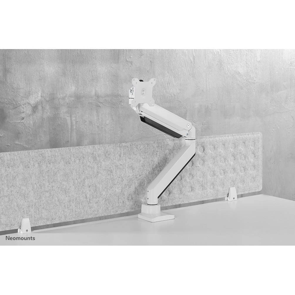 Laikiklis Neomounts Newstar NM-D775PLUS 124,5 cm (49") Gnybtas / varžtai Balta