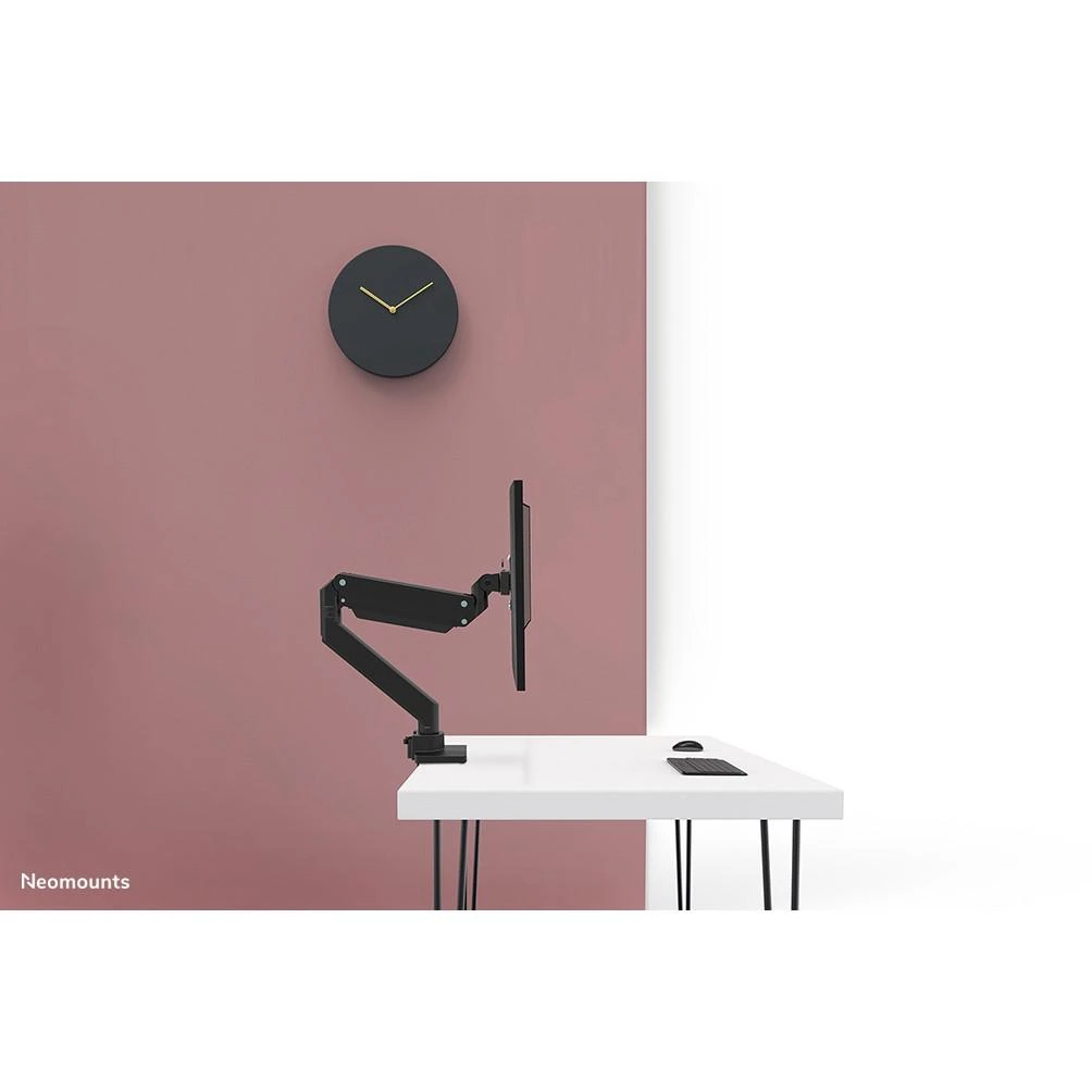 Laikiklis Neomounts Newstar NM-D775PLUS 124,5 cm (49") Gnybtas / varžtai Juoda