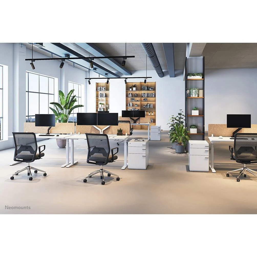 Laikiklis Neomounts Newstar NM-D775PLUS 124,5 cm (49") Gnybtas / varžtai Juoda