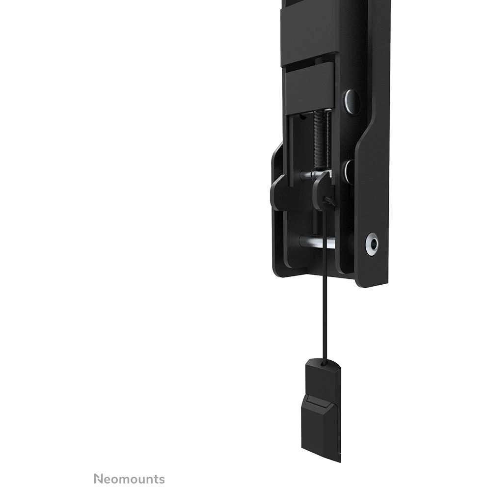 Laikiklis NEOMOUNTS BY NEWSTAR SCREEN WALL MOUNT (TILT, VESA 200X200)