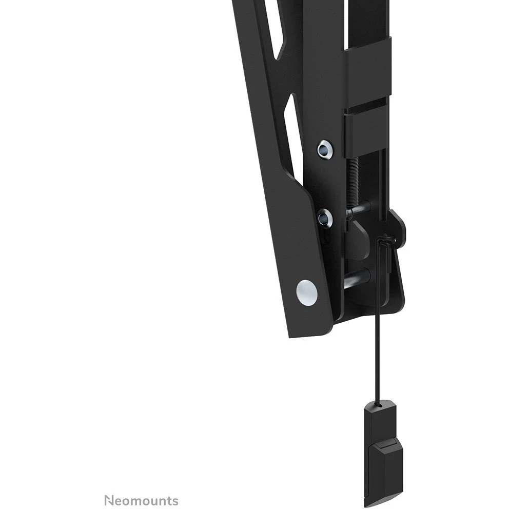 Laikiklis NEOMOUNTS BY NEWSTAR SCREEN WALL MOUNT (TILT, VESA 200X200)