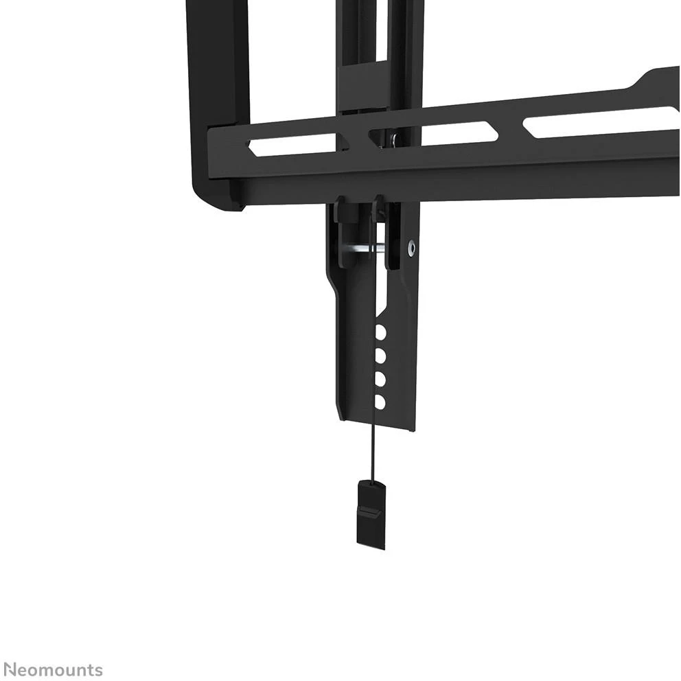 Laikiklis NEOMOUNTS BY NEWSTAR SCREEN WALL MOUNT (TILT, VESA 400X400)