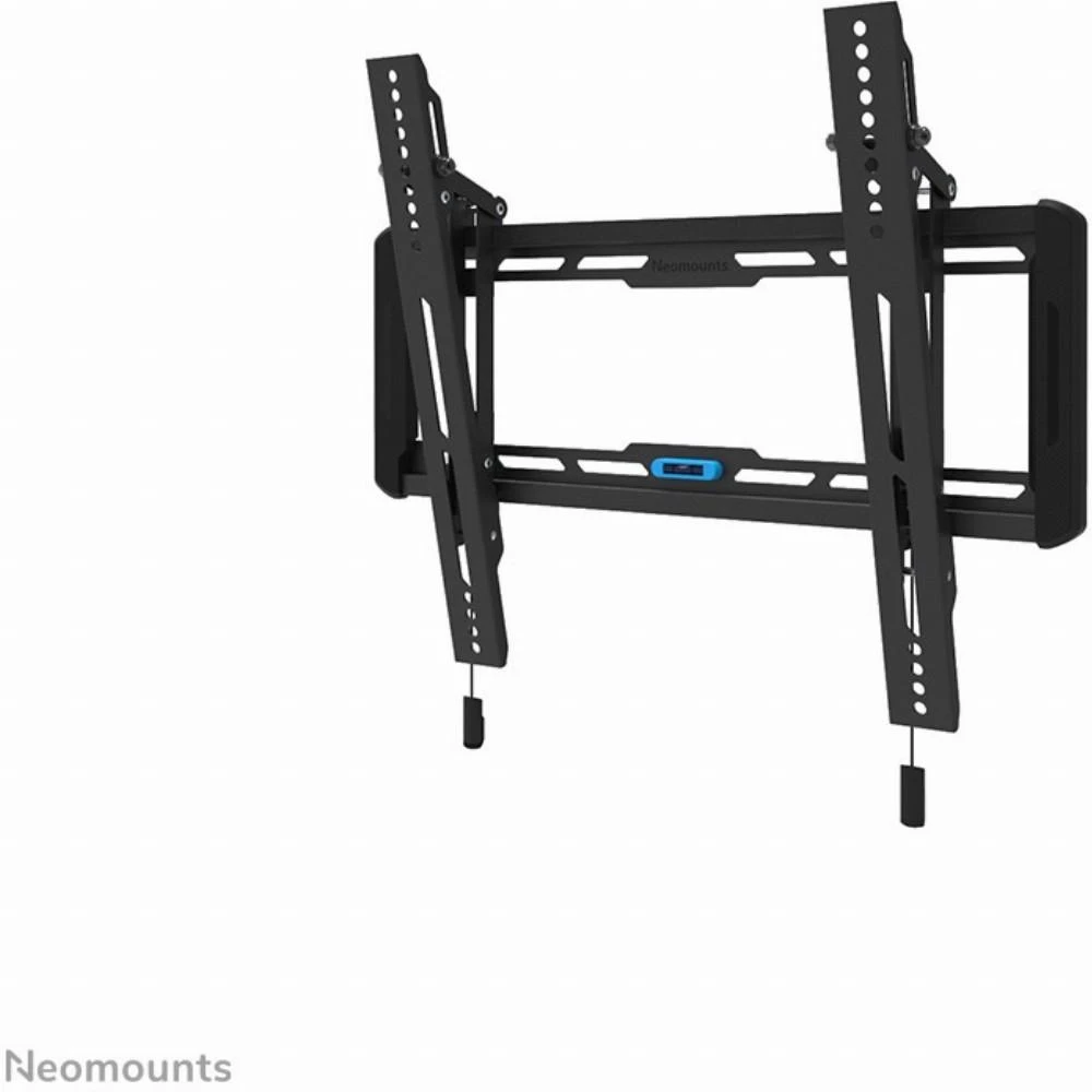 Laikiklis NEOMOUNTS BY NEWSTAR SCREEN WALL MOUNT (TILT, VESA 400X400)