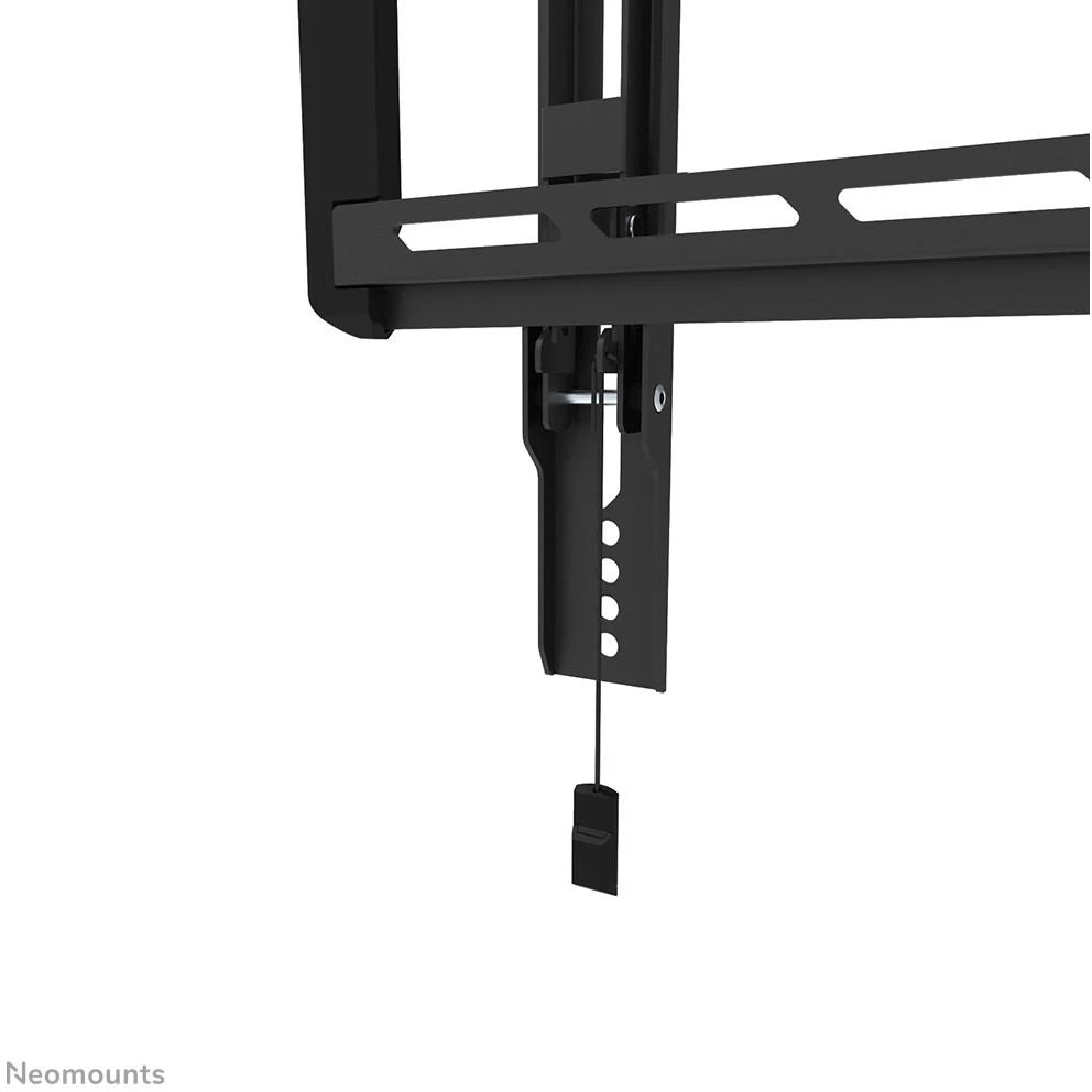 Laikiklis NEOMOUNTS BY NEWSTAR SCREEN WALL MOUNT (TILT, VESA 600X400)