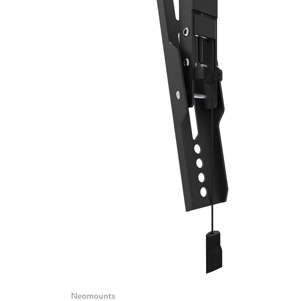 Laikiklis NEOMOUNTS BY NEWSTAR SCREEN WALL MOUNT (TILT, VESA 600X400)