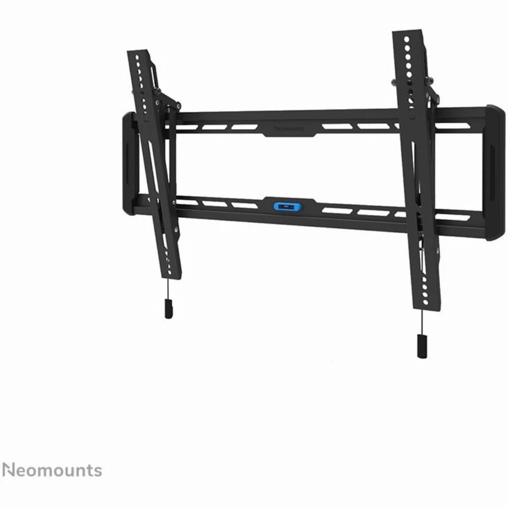 Laikiklis NEOMOUNTS BY NEWSTAR SCREEN WALL MOUNT (TILT, VESA 600X400)