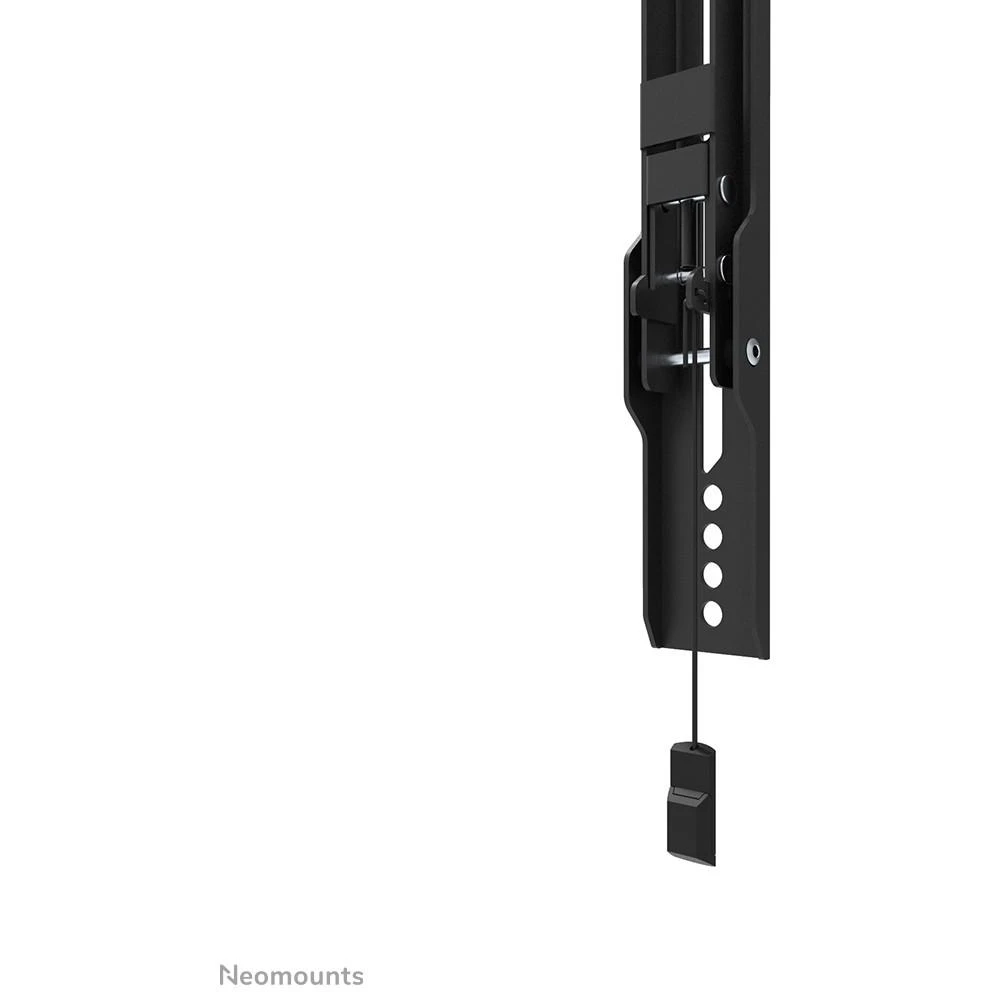 Laikiklis NEOMOUNTS BY NEWSTAR SCREEN WALL MOUNT (TILT, VESA 600X400)
