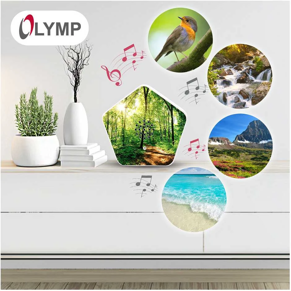 Kompiuterio kolonėlės Olympia Soundbox Olymp Nature*