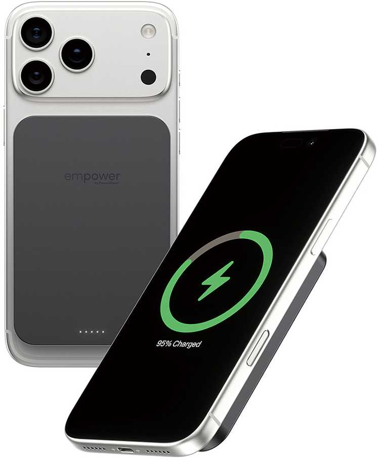 Panzer Glass Powerbank PanzerGlass EMPOWER BANK 5000 mAh Juodas (EM78115)