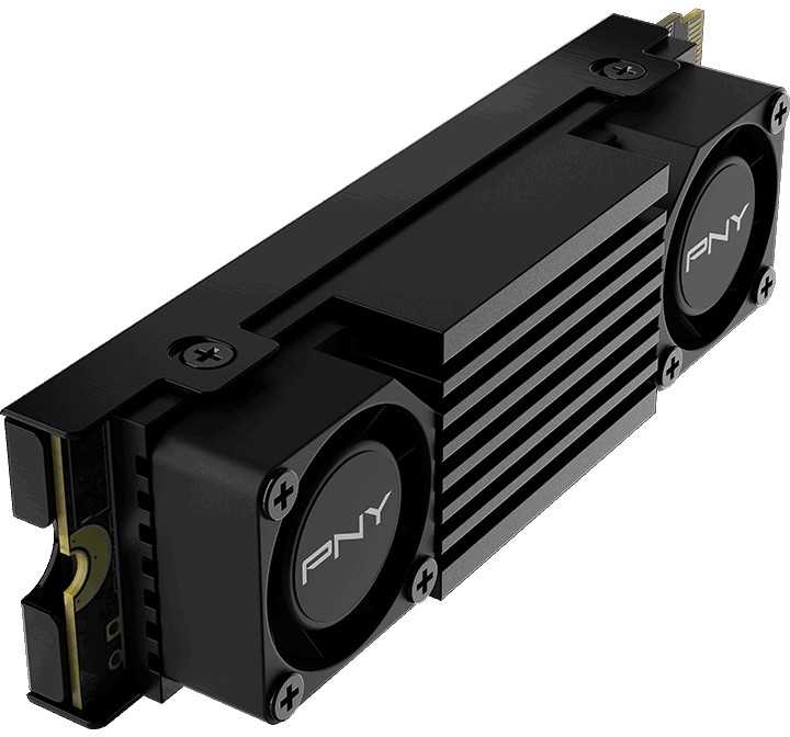 PNY – CS3150 – Vidinis SSD standusis diskas – 2 TB – M.2 NVMe (M280CS3150HS-2TB-RB)