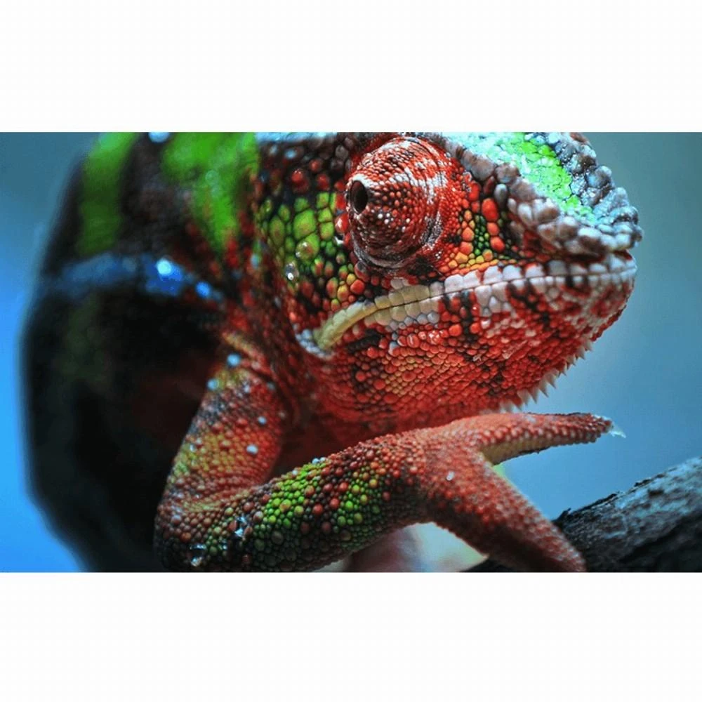 Projektorius 4K PRO-UHD Epson EH-TW7100 (V11H959040)