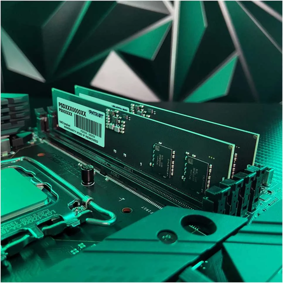 Patriot Memory Signature Line atminties modulis 16 GB 1 x 16 GB DDR5 5600 MHz (PSD516G56002)
