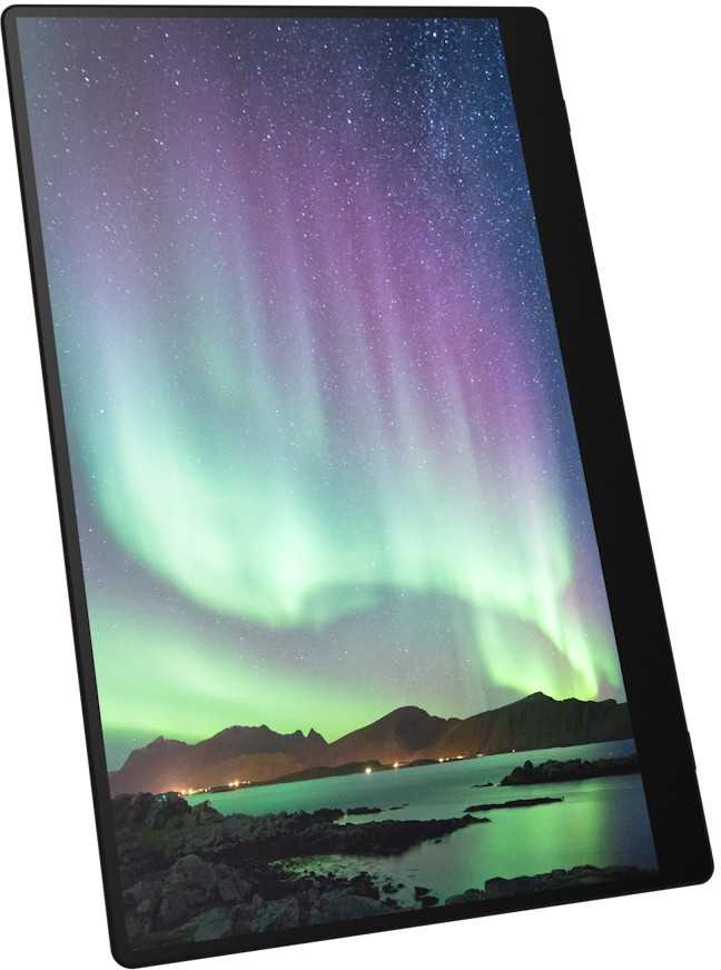 RICOH - Nešiojamas monitorius 150BW OLED 15,6'' (belaidis)