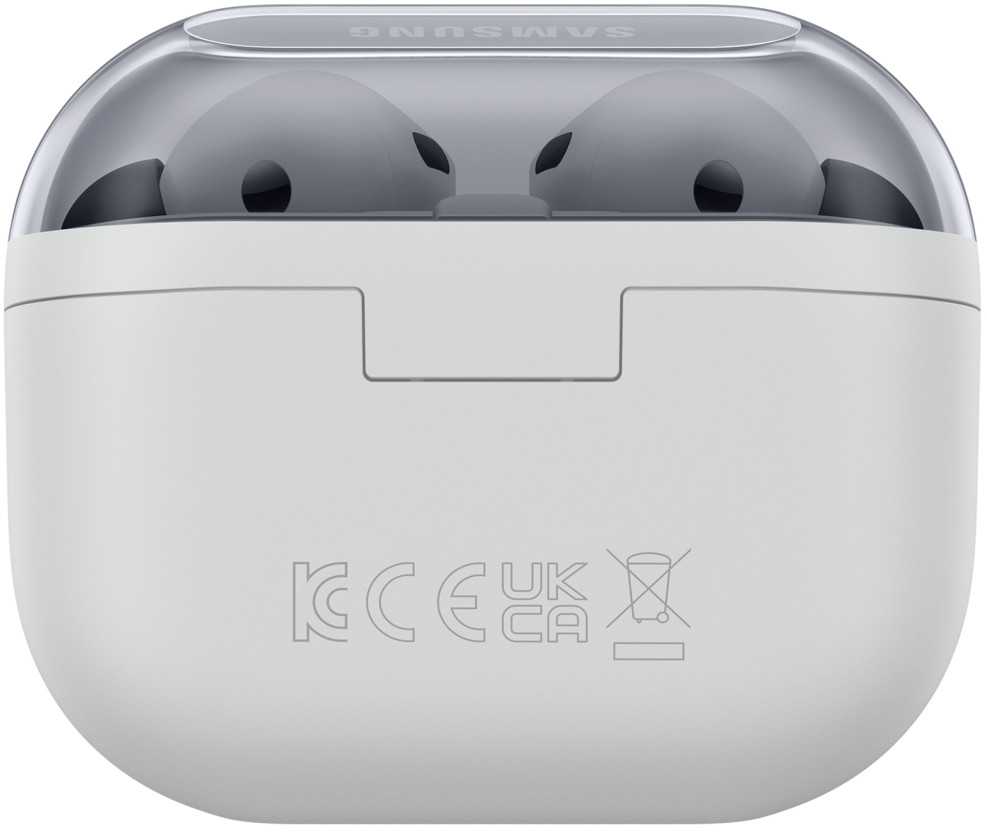 Ausinės Samsung Galaxy Buds3 FE R420 – pilkos spalvos