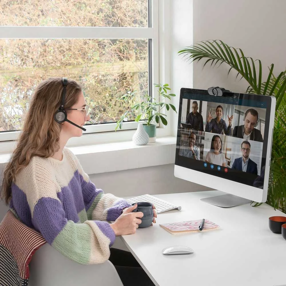 Sandberg Belaidės Office Ausinės Pro+
