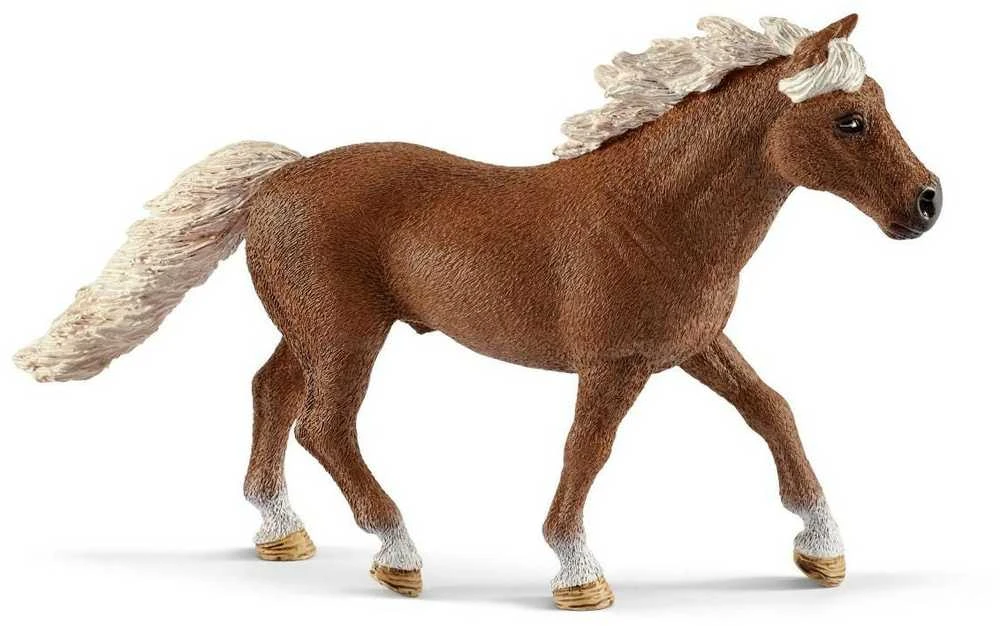 Schleich Farm World 42481 – ponių vikrumo pratimas