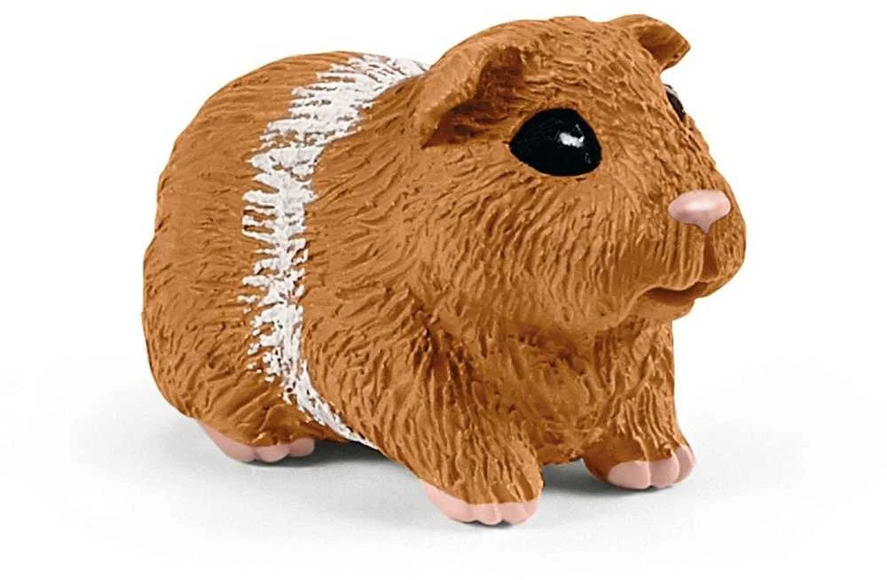 SCHLEICH „Naminiai gyvūnai“ Rinkinys - Triušių ir jūrų kiaulyčių gardas