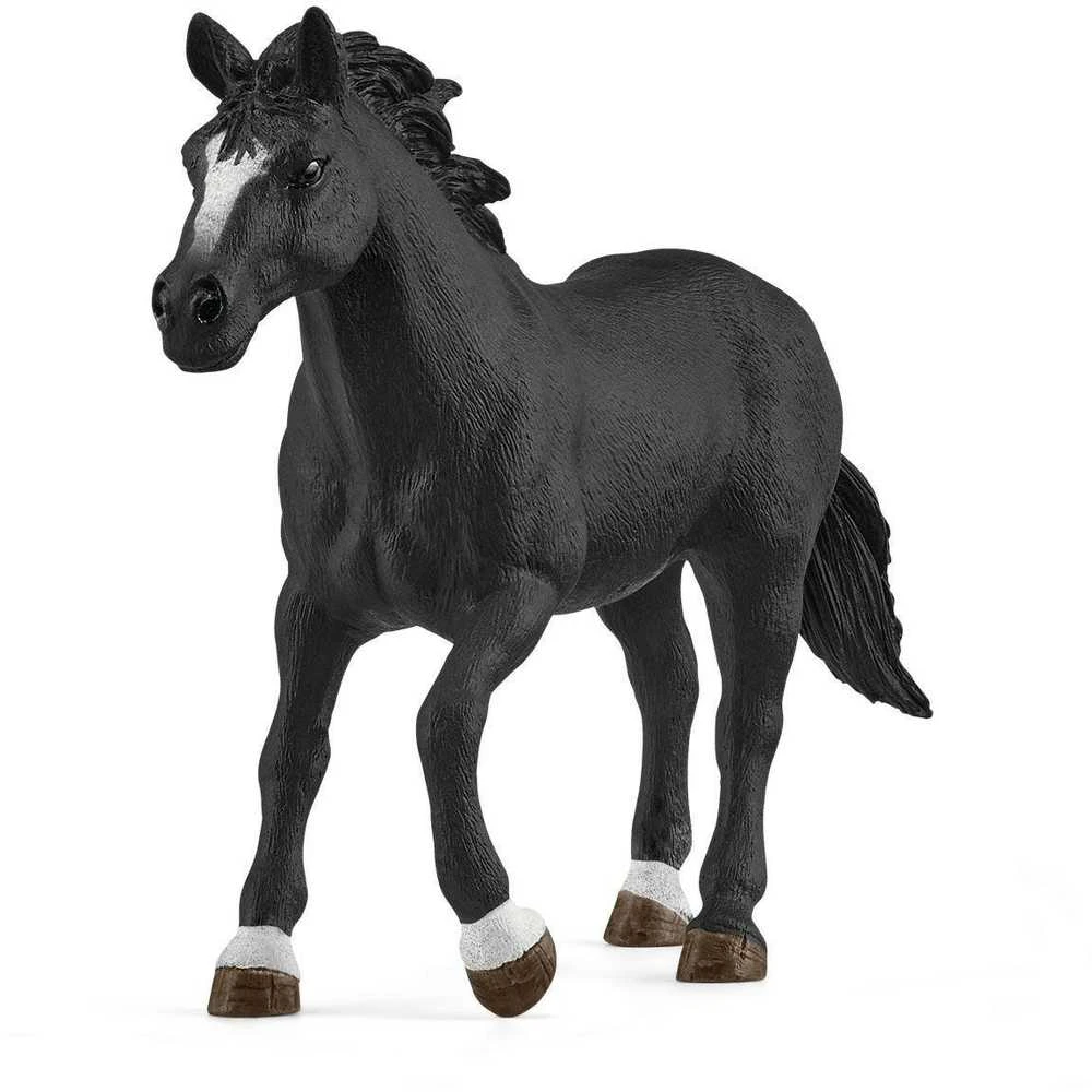 SCHLEICH „Naminiai gyvūnai“ Rinkinys - Kaubojė ant žirgo