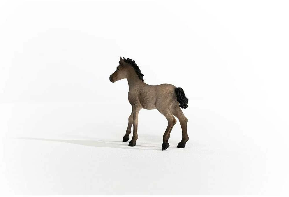 SCHLEICH „Arklių klubas“ figūrėlė - Kreolų veislės kumeliukas